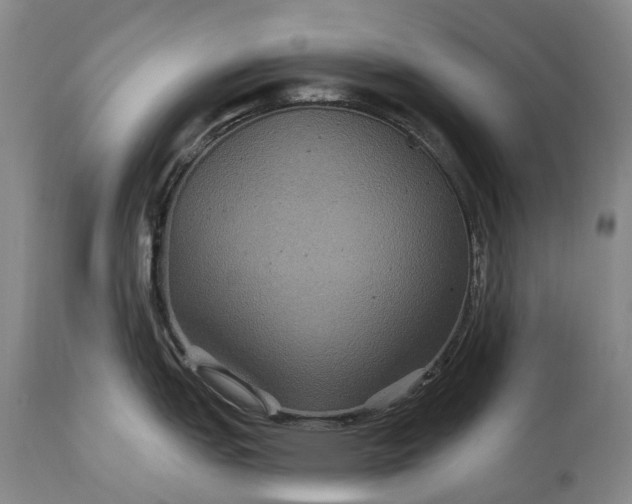 X0000115321151200911161739