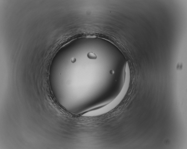 X0000115321153200911161738