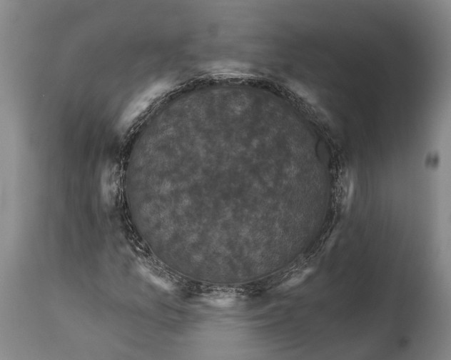 X0000115321157200911161738