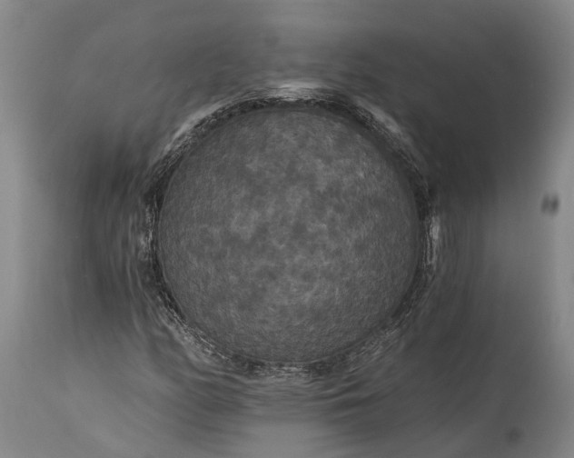 X0000115321158200911161738