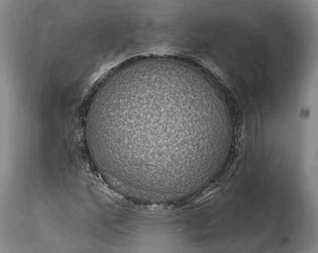 X0000115321160200911161738