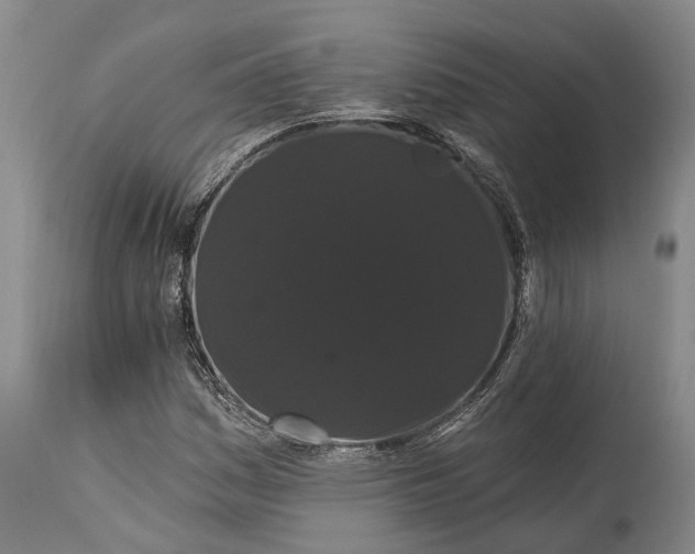 X0000115321161200911161738