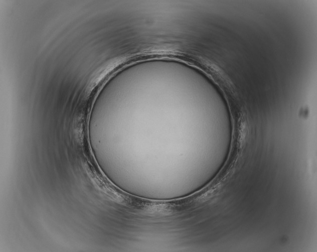 X0000115321162200911161738