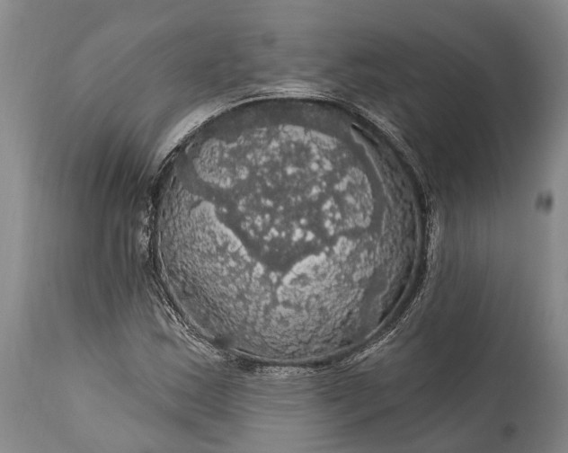 X0000115321163200911161738