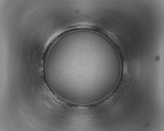 X0000115321164200911161738