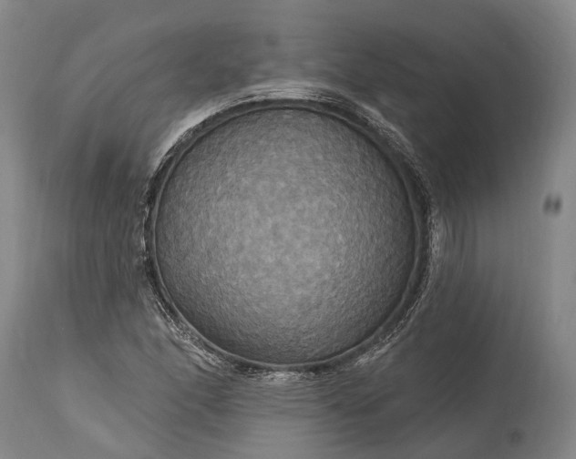 X0000115321166200911161738