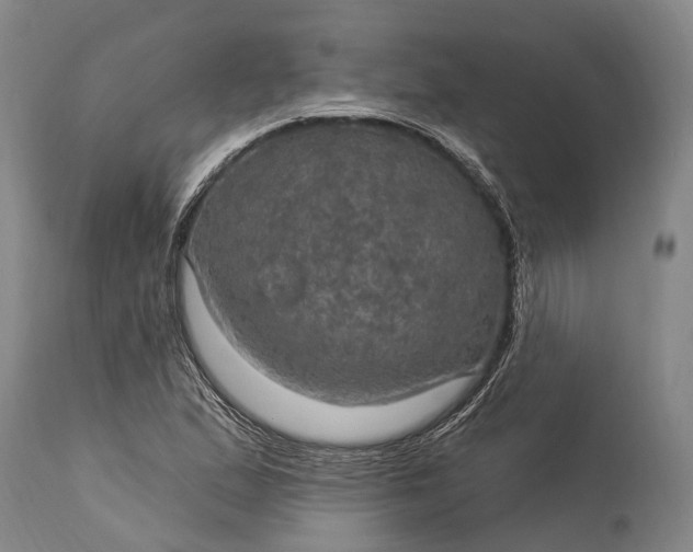 X0000115321167200911161738