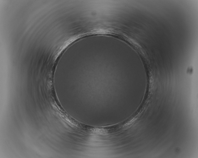 X0000115321170200911161738