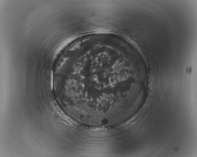 X0000115321171200911161738