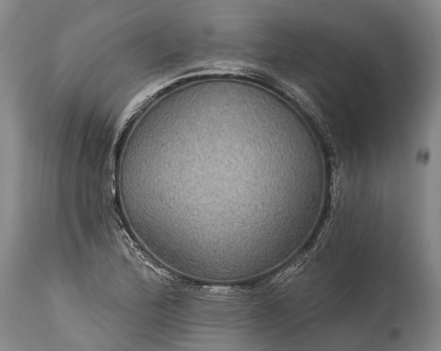 X0000115321172200911161738