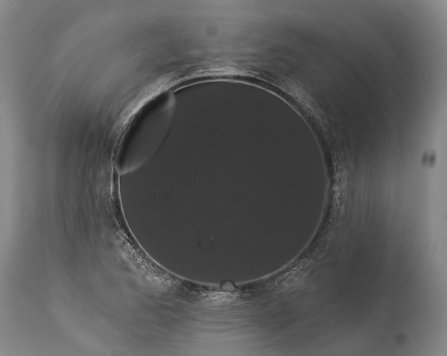 X0000115321173200911161738