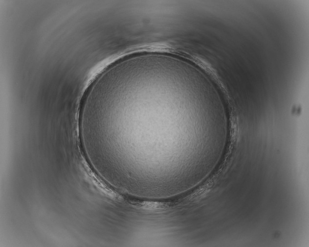 X0000115321176200911161738