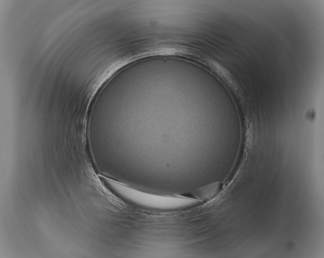 X0000115321178200911161738