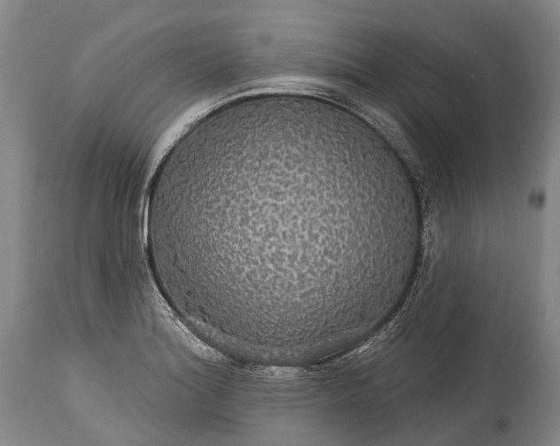 X0000115321180200911161738