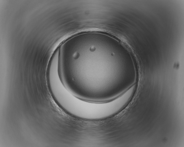 X0000115321181200911161738