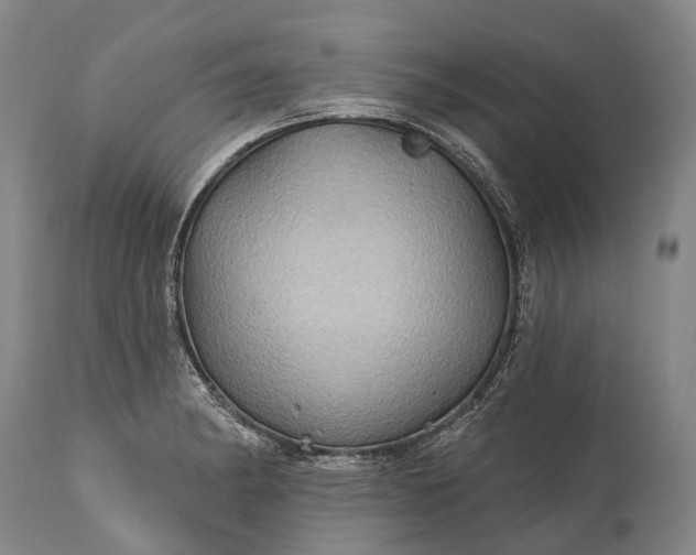 X0000115321182200911161738