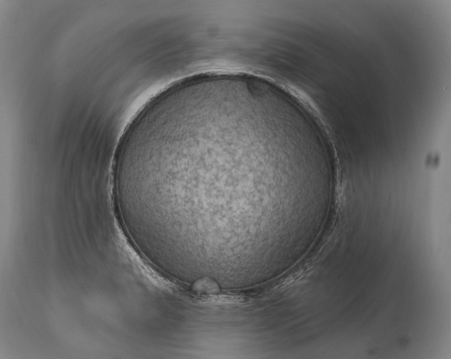 X0000115321183200911161738