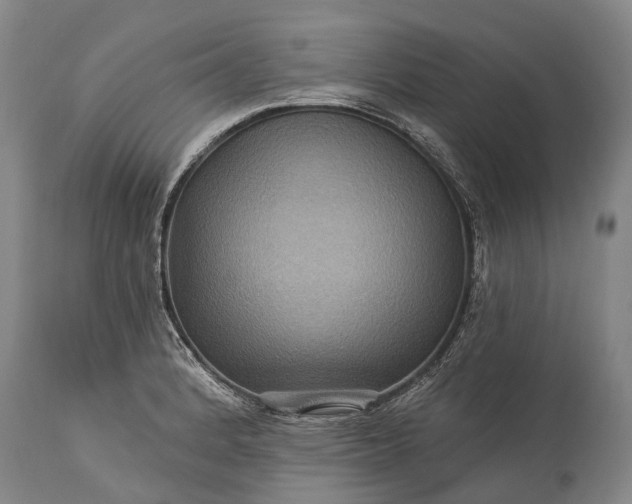 X0000115321184200911161738