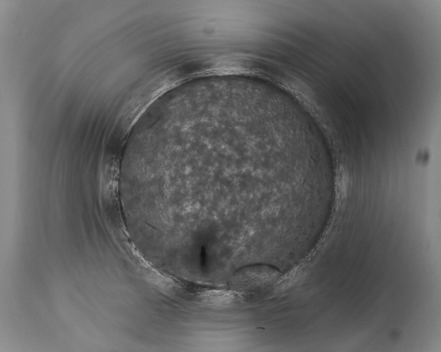 X0000115321185200911161738