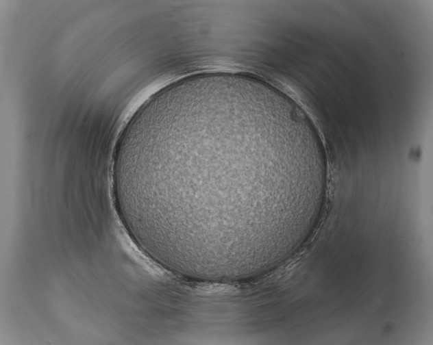 X0000115321187200911161738