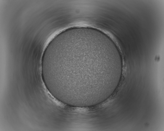 X0000115321191200911161738