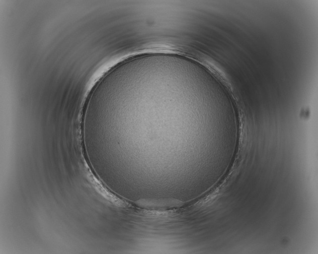 X0000115321192200911161738