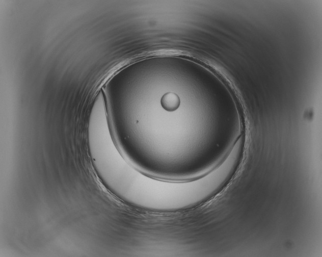 X0000115321193200911161738