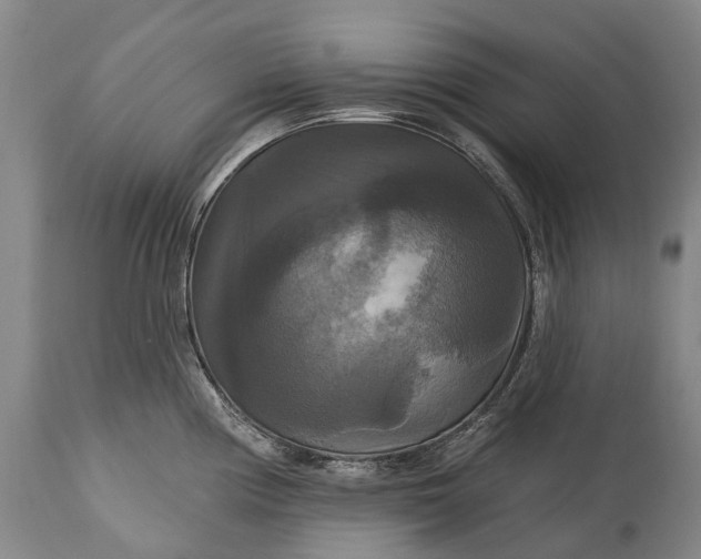 X0000115321194200911161738