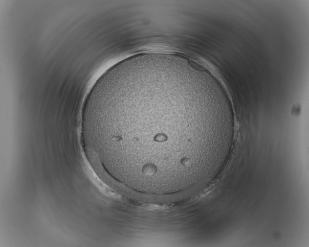 X0000115321195200911161738