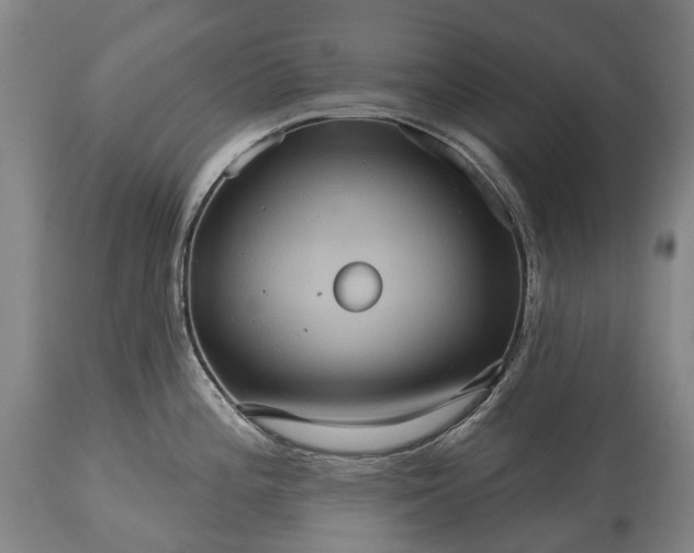 X0000115321196200911161738