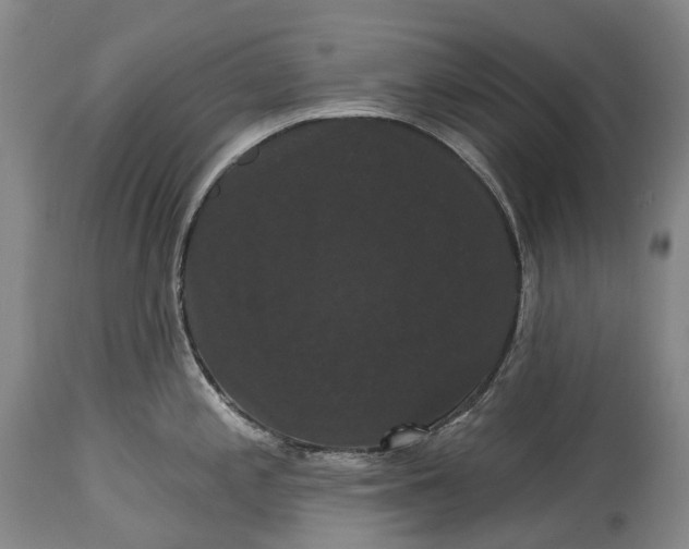 X0000115321197200911161738