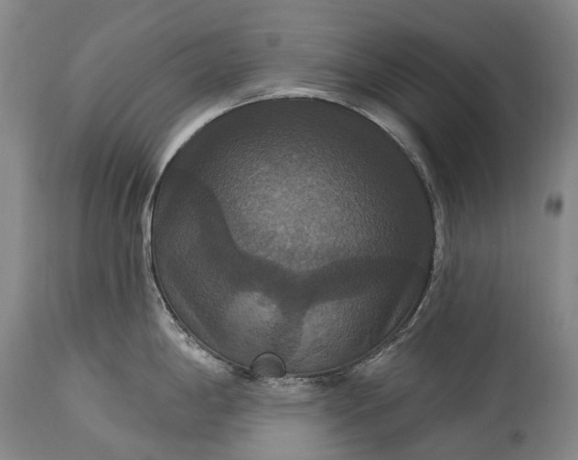 X0000115321198200911161738