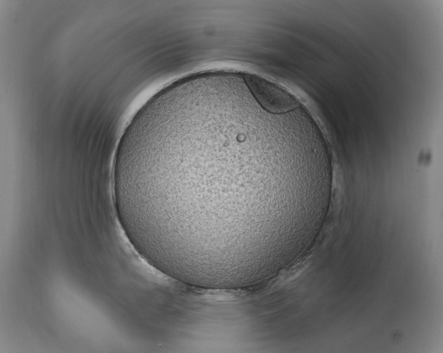 X0000115321199200911161738