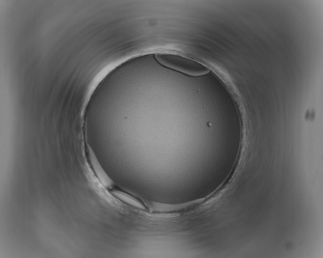 X0000115321200200911161738