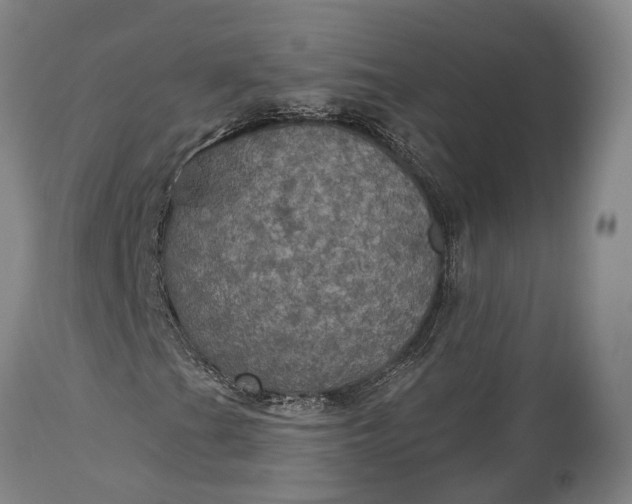 X0000115321201200911161737