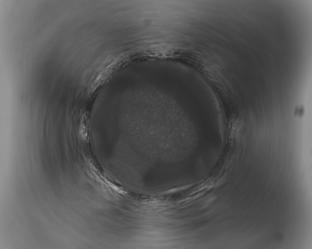 X0000115321202200911161737