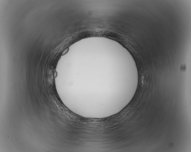 X0000115321204200911161737