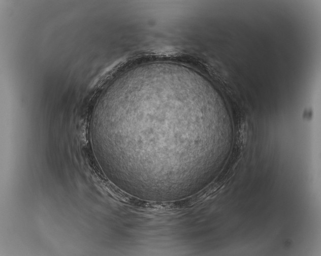 X0000115321205200911161737