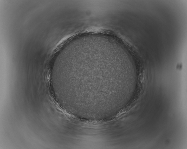 X0000115321206200911161737