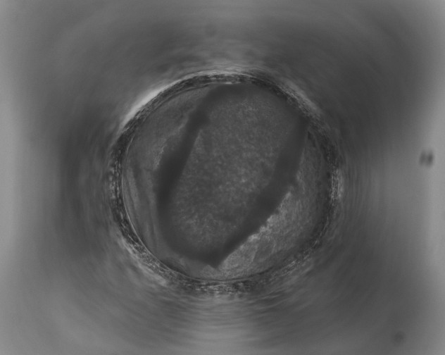 X0000115321208200911161737