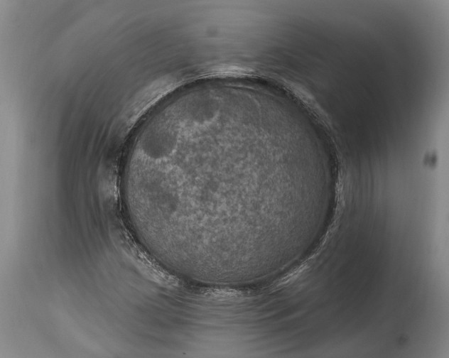 X0000115321209200911161737