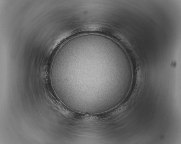 X0000115321210200911161737