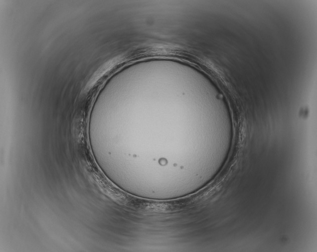 X0000115321211200911161737