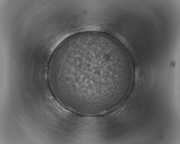 X0000115321212200911161737