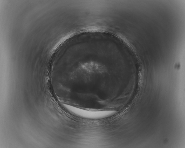 X0000115321213200911161737