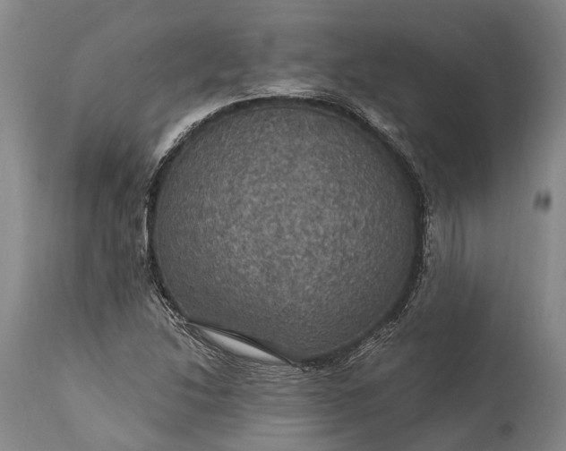 X0000115321214200911161737