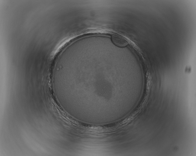 X0000115321215200911161737