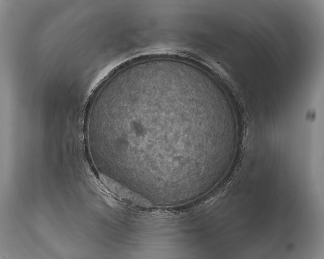 X0000115321216200911161737