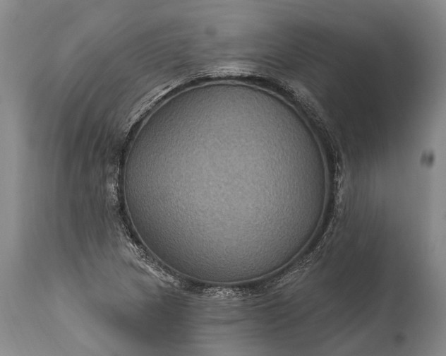 X0000115321217200911161737