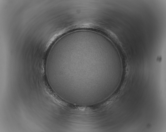 X0000115321218200911161737